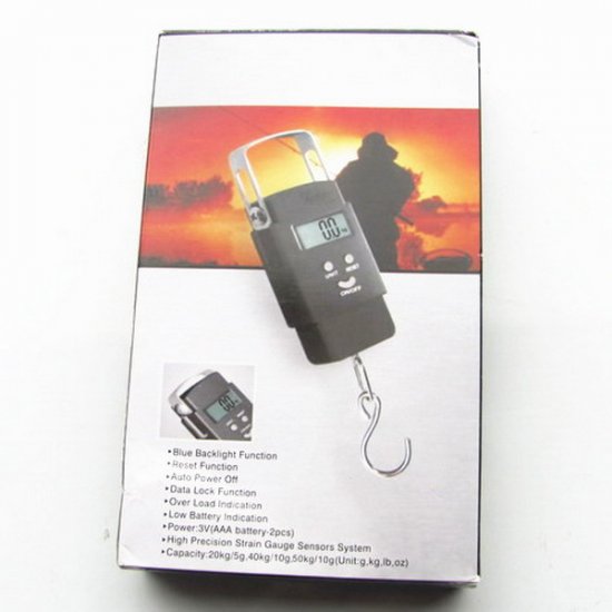 50kg/10g Digital Hanging Portable Scale - Click Image to Close